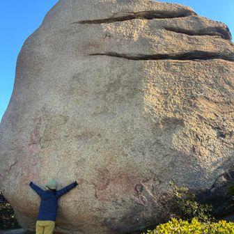 でっかいでしょ！
このニコニコの近くには他にも楽しいところがいっぱい