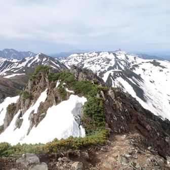 名残惜しいですが本日中に下山なので
来た道を戻ります