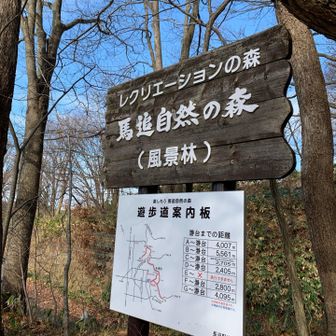 ここから火葬場口まで、車道歩きで戻ります😅