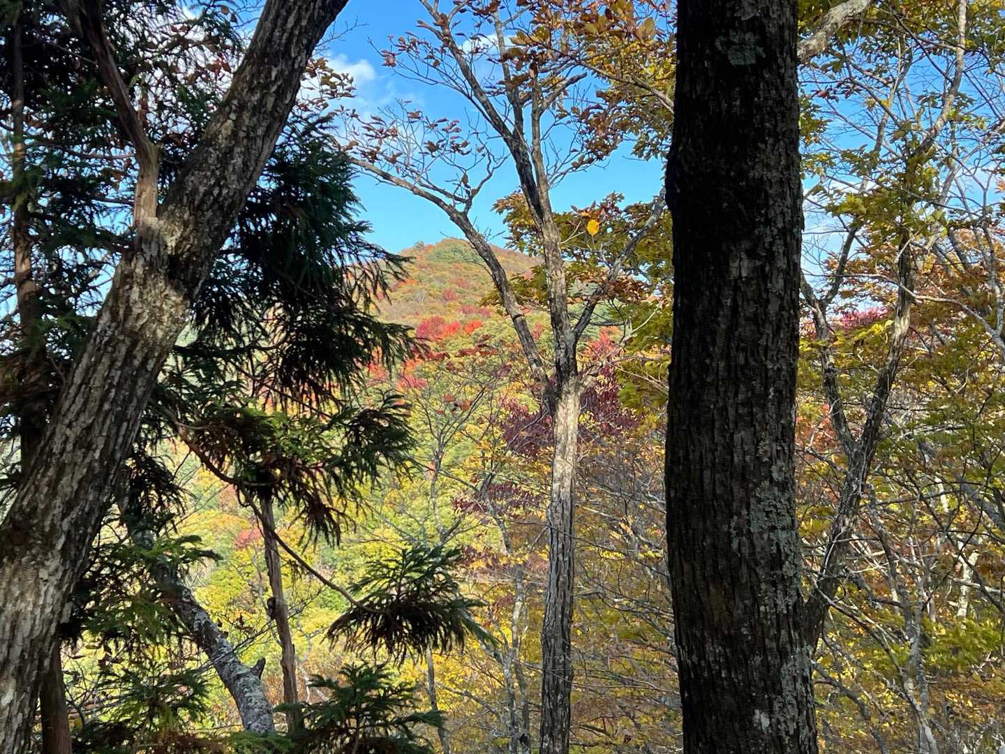 月山から名久井岳