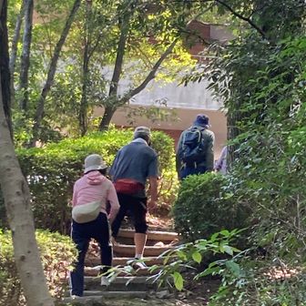 東展望台の到着
半数の人が、”365歩の階段”の下りを敬遠して南幹線の取り付き地点で折り返しました‥体調と相談ですね