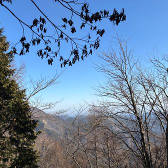 瘤高山山頂からの眺め