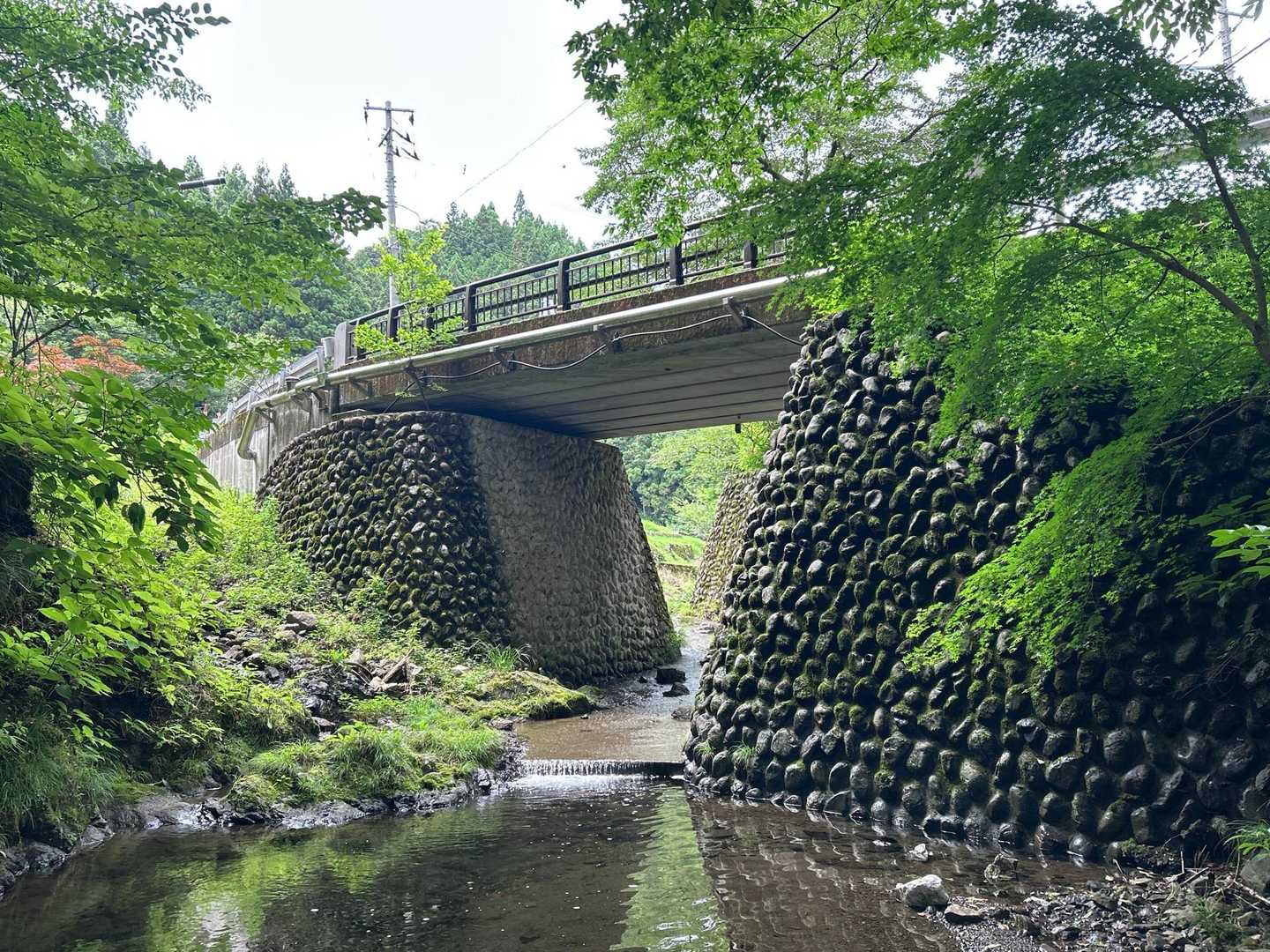 紫陽花橋の脇から河へ降りられる。透明で綺麗な水だった。