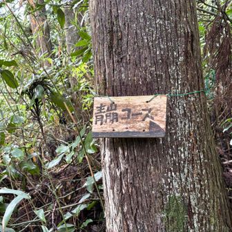 青崩コース始まり