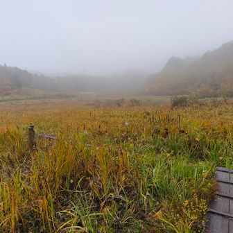 湿原はフラットなので楽チン🎵
木道が水に浸かってる箇所が…右の靴だけ浸水してきたのでゴアが破損してる事がわかった🥲