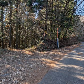 左に下りる道を横目に舗装路を進む