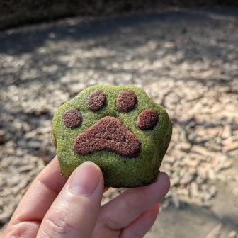 で、無事に激下った後はののはなパンのフィナンシェでほっこり🐾

…と思った次の瞬間
ザザザザー！ドシーン！とすごい音が😱

人が滑落したのかと思いきやどうやら高い木から大きな枝が落ちただけのよう😅

あーびっくりしたー😮‍💨