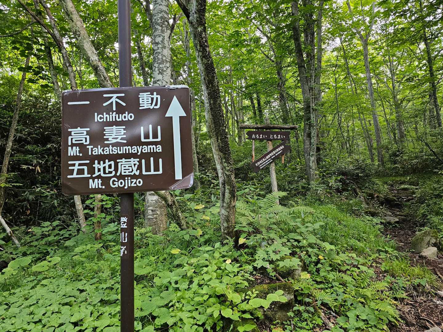 有り難うございました。