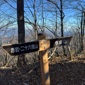 今倉山に向かう途中の小ピーク