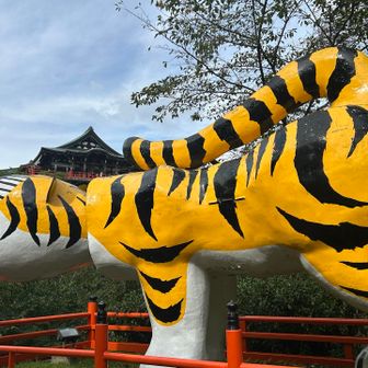 配色を観察してます
何すんねん🤣