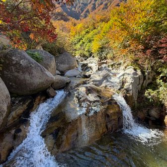 紅葉いい景色