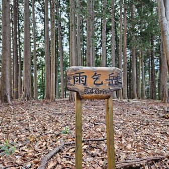 時間も早いし、雨乞岳経由で下山

ここまでは比較的歩き易かったですが、これ以降は道もなく、歩き辛くなります