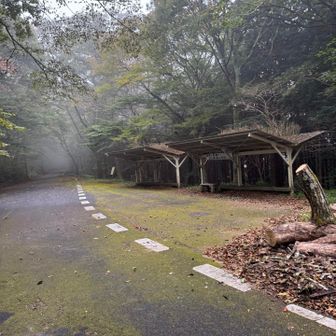こっちが入口駐車場🅿️
7台ぐらい停められるらしい
駐車場というよりは、広くなった場所的な…
安心感的にはお寺の駐車場の方が良さそう
こっちにも1台も停まっていなかった😅