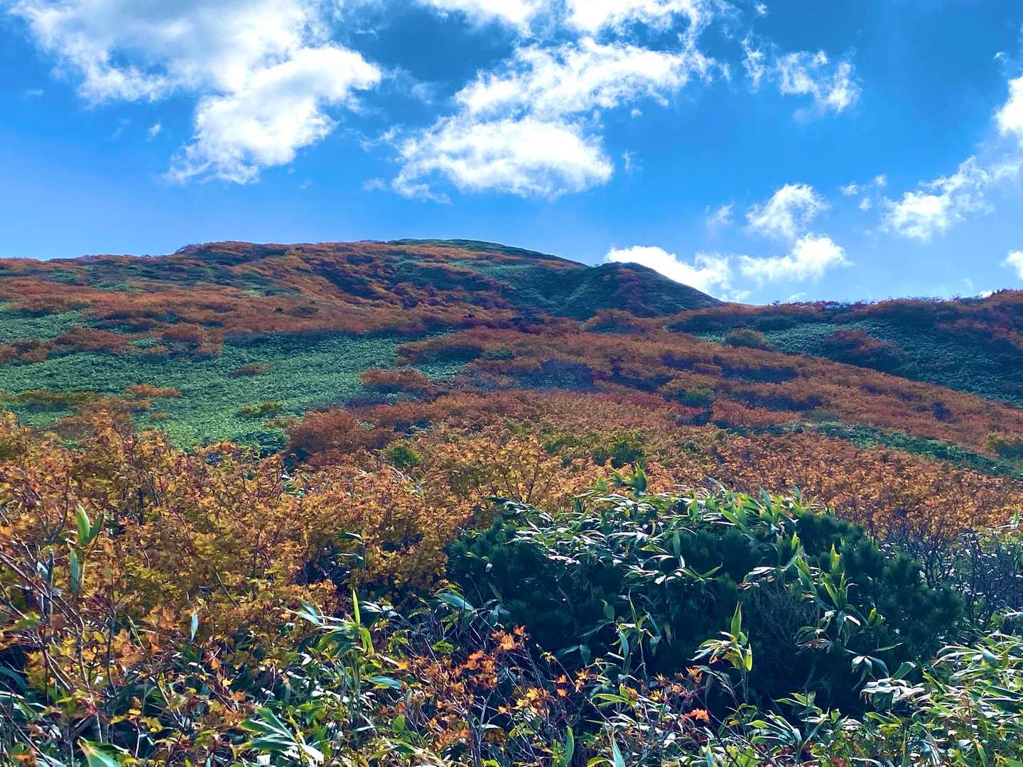 湯森山-笊森山-烏帽子岳 縦走コースの写真