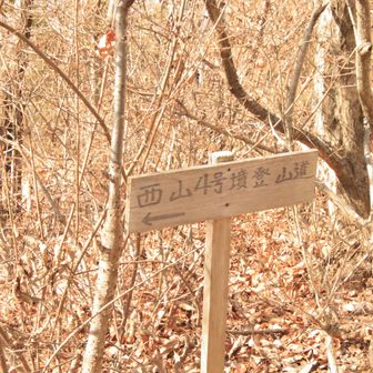 真福寺山⛰️の標識が見つからないよ🥹
のでここから降ります👇この時は予定したルートでないことに気が付きませんでした🥹