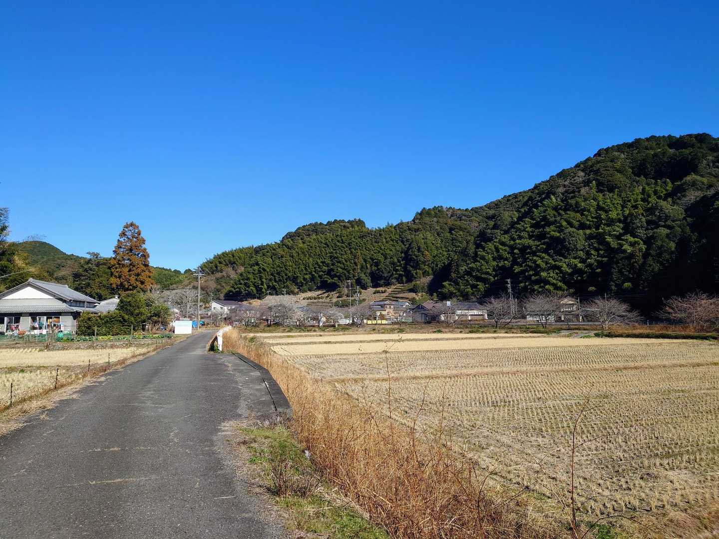 のどかでポカポカ陽気☀