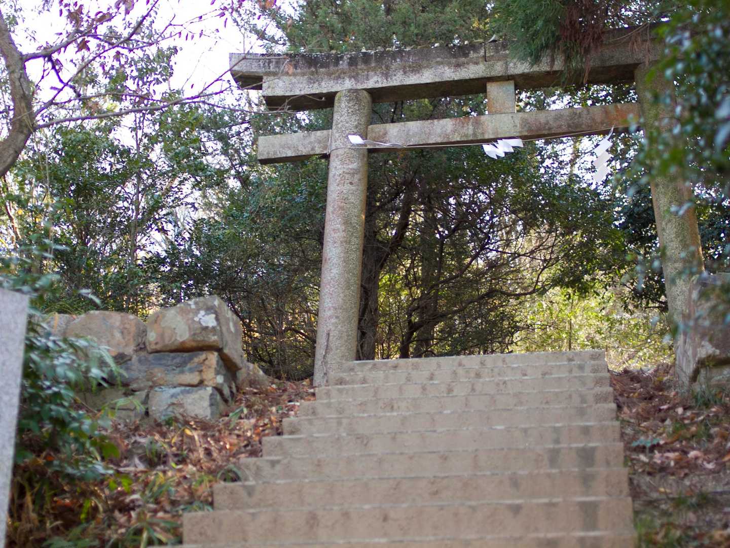 なんだかイベントを終えた気分ですが、本番はこれから。登山口は神社の裏手にありました。