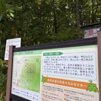 ゴール