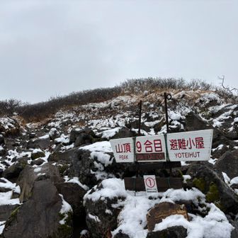 少し風があり寒い