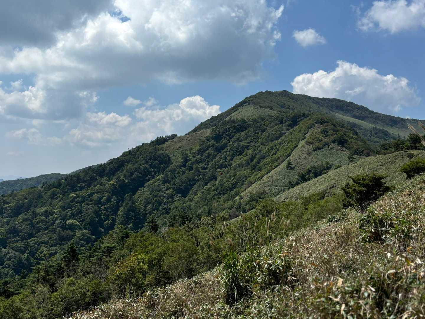 小麦畝登山口-平家平 往復コースの写真
