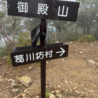 ☂️が降ってるし、景色も見えない。
ここは撤収👇