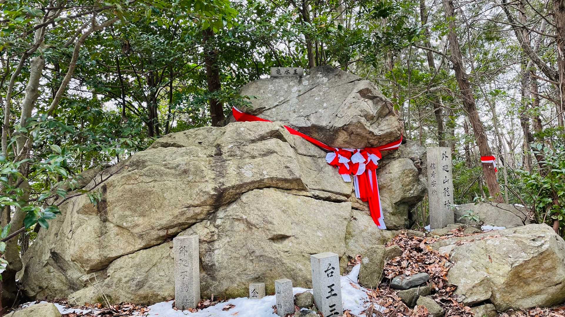 道無き道を登って やっとこ山頂!!