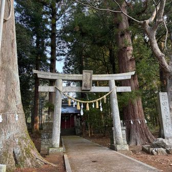 おじゃましま🙏