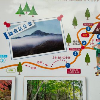 駐車場から山頂までは20分でも神社にも寄りたいし山頂下を一周したい〜🥰