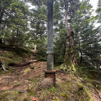そして長〜い下山スタート💦