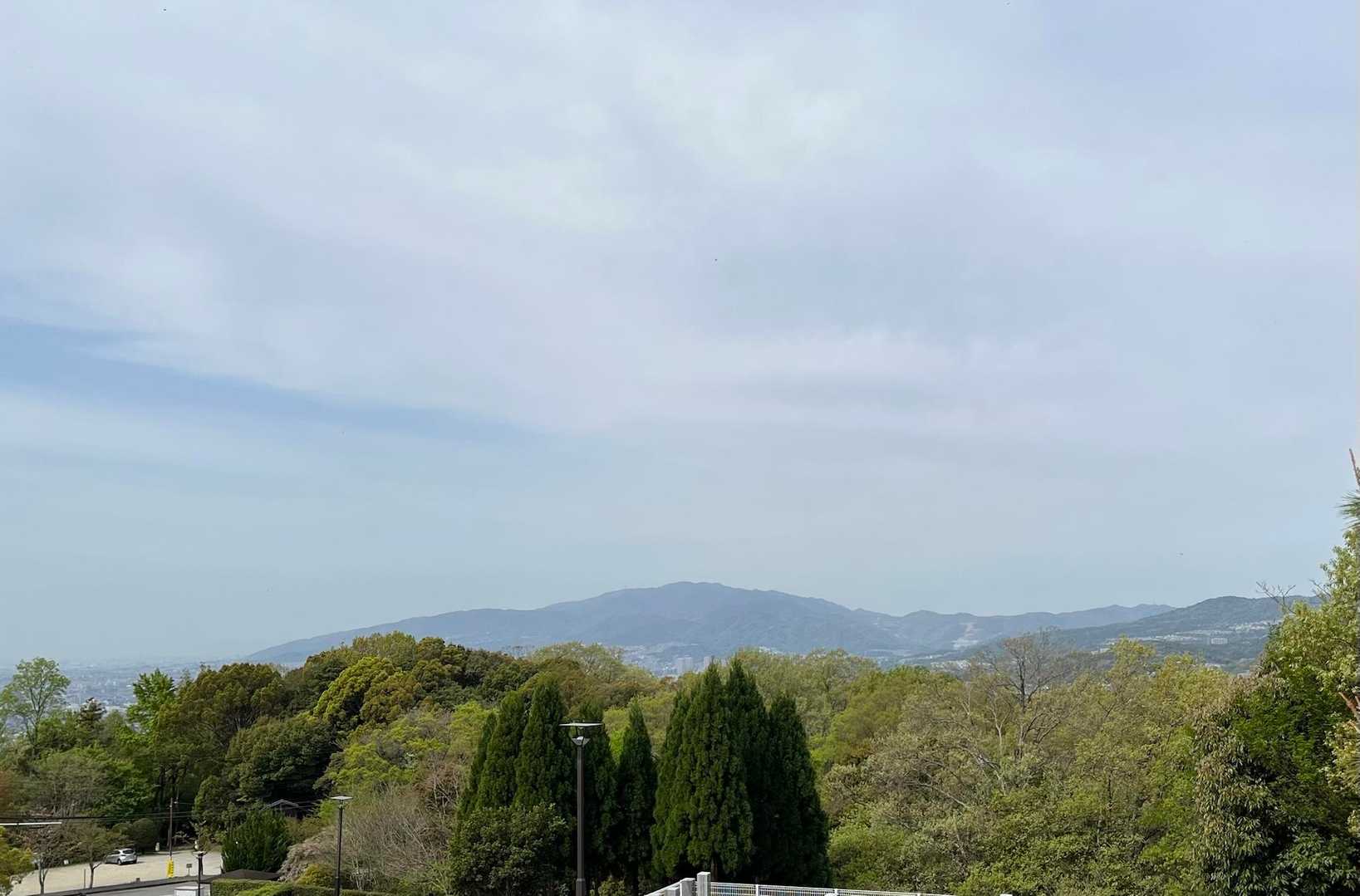 霊園の木立の先に六甲山