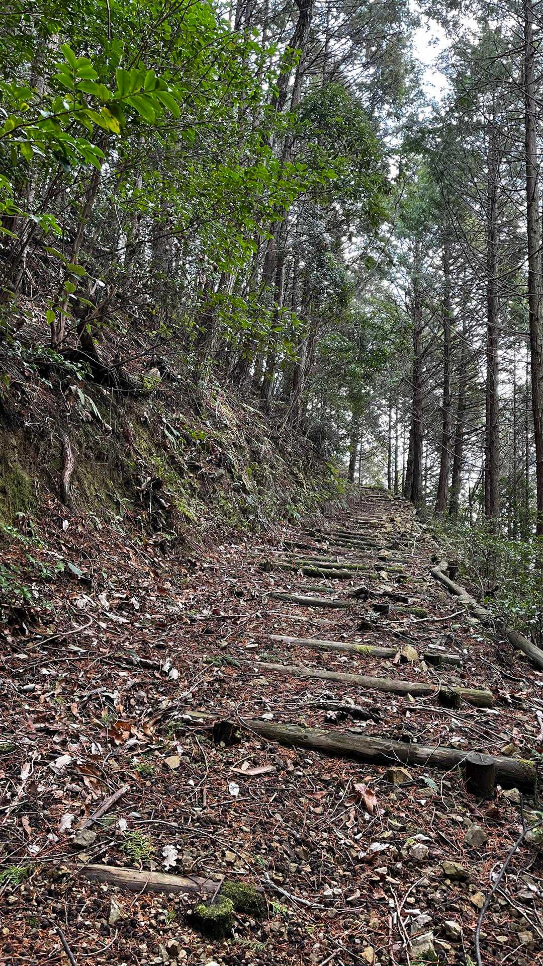 北山-長水山 周回コースの写真