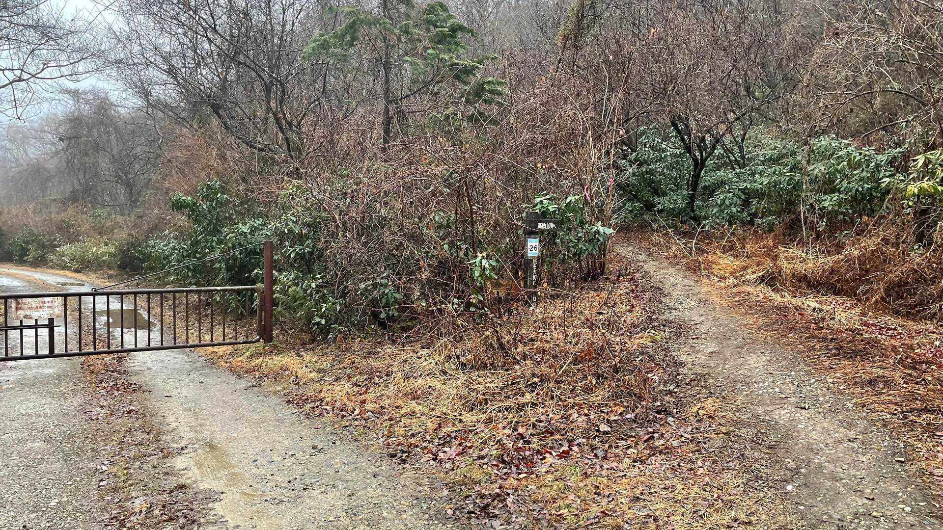 ここから右手の高鈴山のほうに行きます。