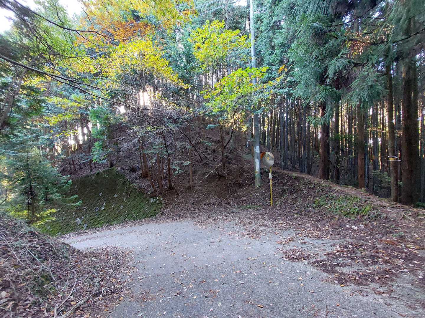 こっからまた山道♪