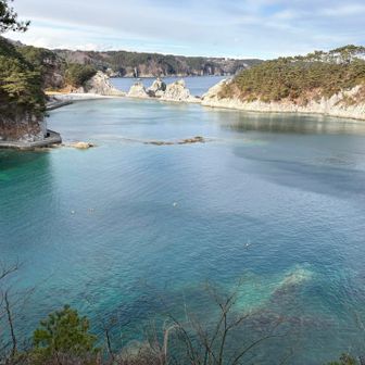 わぁ〜絶景だ🥰
奥に見えるのが浄土ヶ浜ですね✨