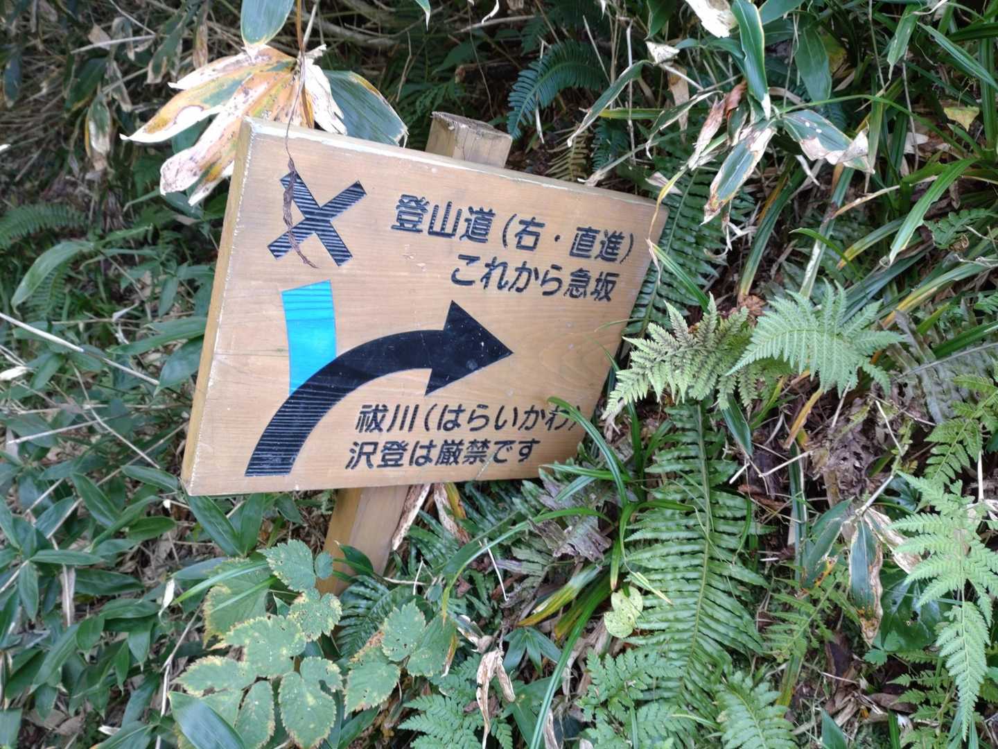 山頂駅-薬師岳 往復コースの写真