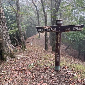 ここから異世界18禁の倉沢谷林道へ降りる