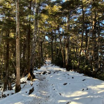 大菩薩嶺山頂へ向かいます