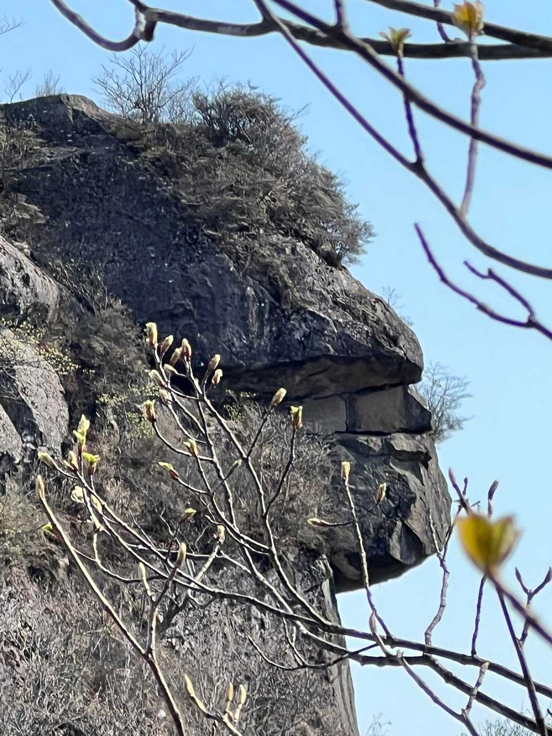 獅子岩の横顔
歯が見える！