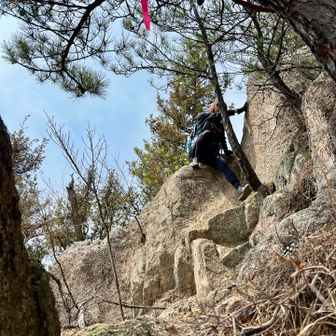 【岩尾根コース】
整備されてて下りやすい✨
小田山のように楽しい山なら連れてきたいな(誰を？w)

鋸爺ありがとう🗣️