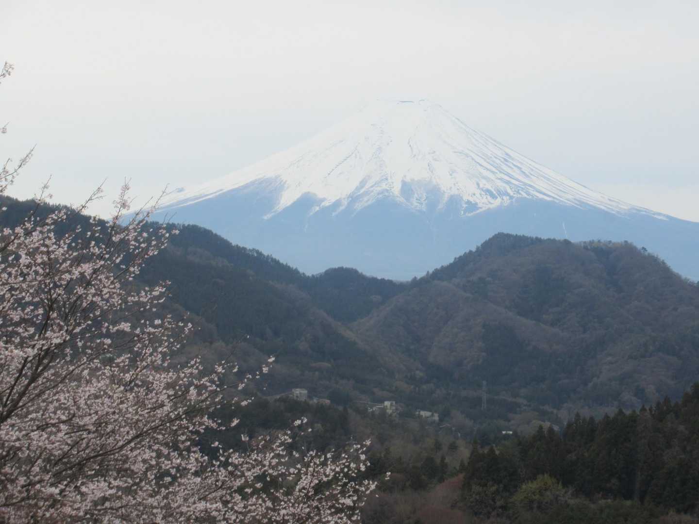 上真木バス停-大神社-お伊勢山-花咲山登山口-花咲山-叉平 縦走コースの写真