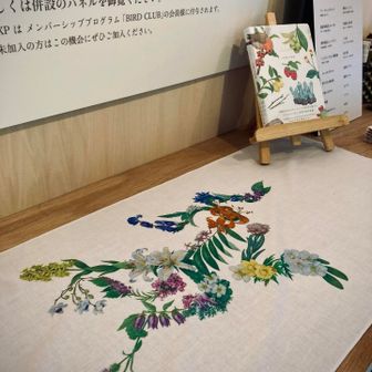 ARC'TERYX Botanical Bird 手拭い ARC'TERYXアークテリクスBotanical Bird 手ぬぐい 手拭い 2025年最新