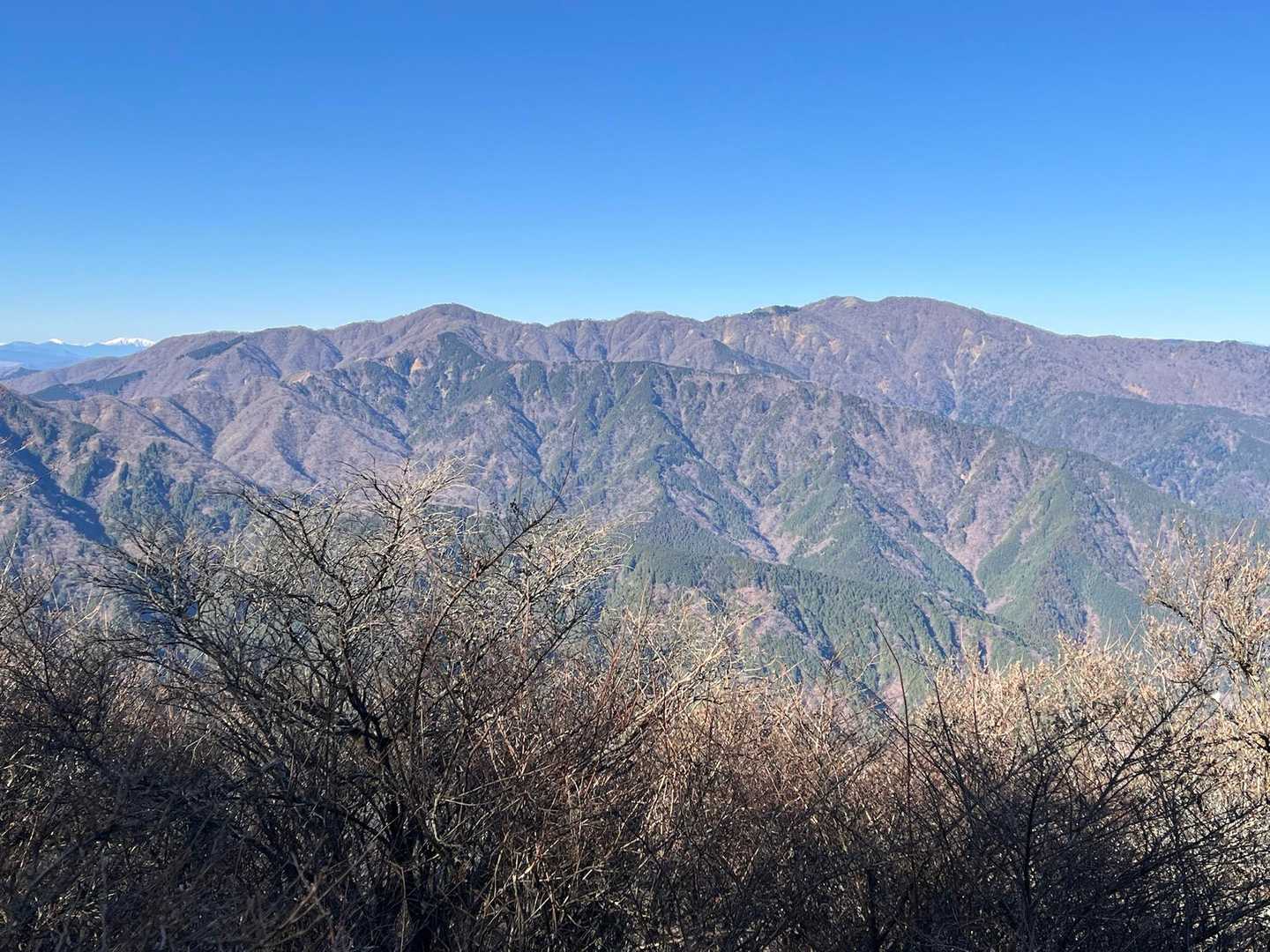 表尾根から丹沢山迄の稜線。