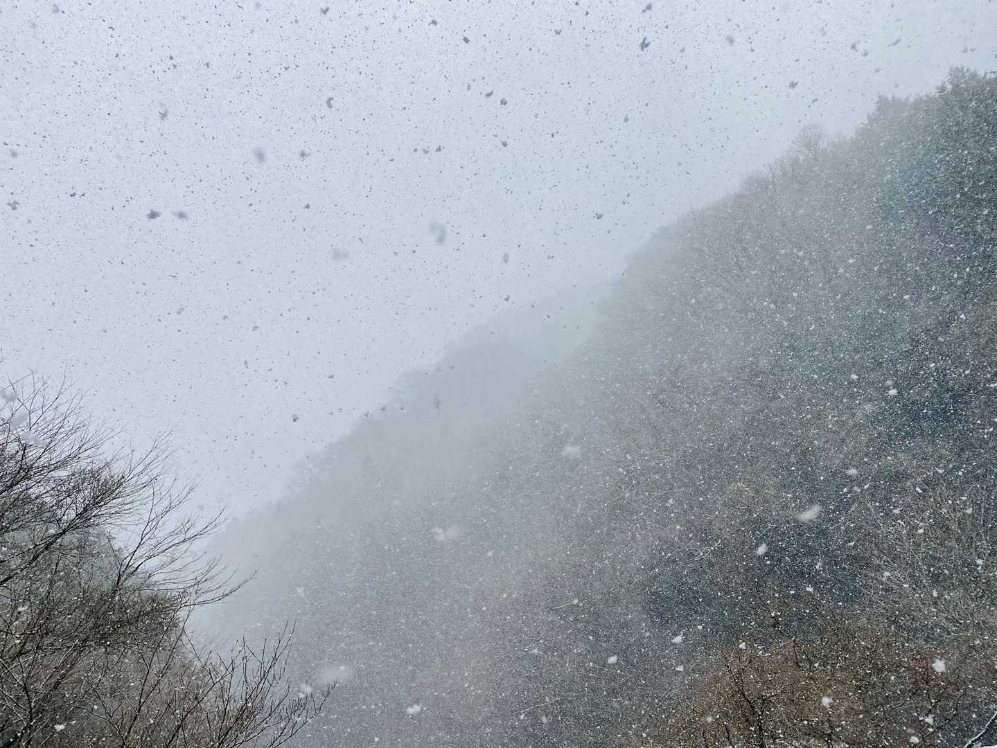 また吹雪いてきました。