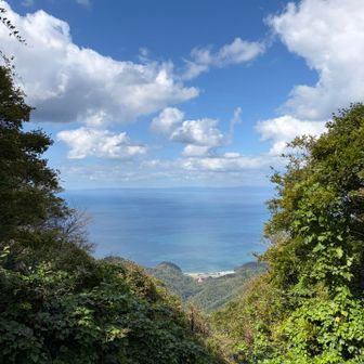 佐渡島が良く見えました🏝️