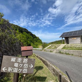 マーブルシロヤシオを探しに、竜ヶ岳へ⛰