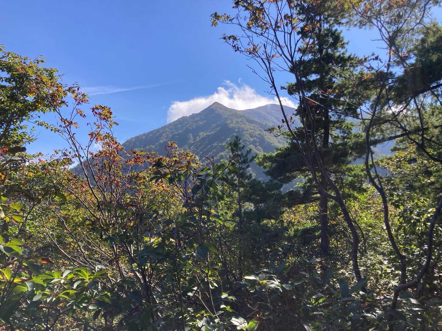 祝瓶山 鈴振尾根日帰りピストンコースの写真