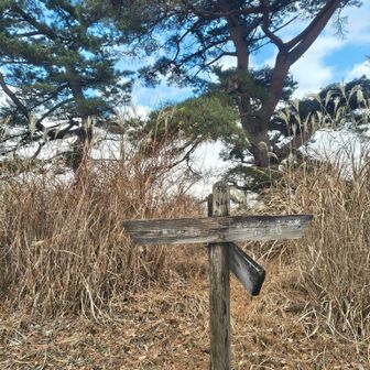 櫟山とうちゃく！812m
広く平な山頂