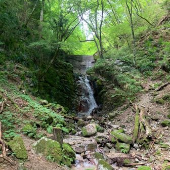 マイナスイオン全開です。いつもながら、気持ち良い場所です。