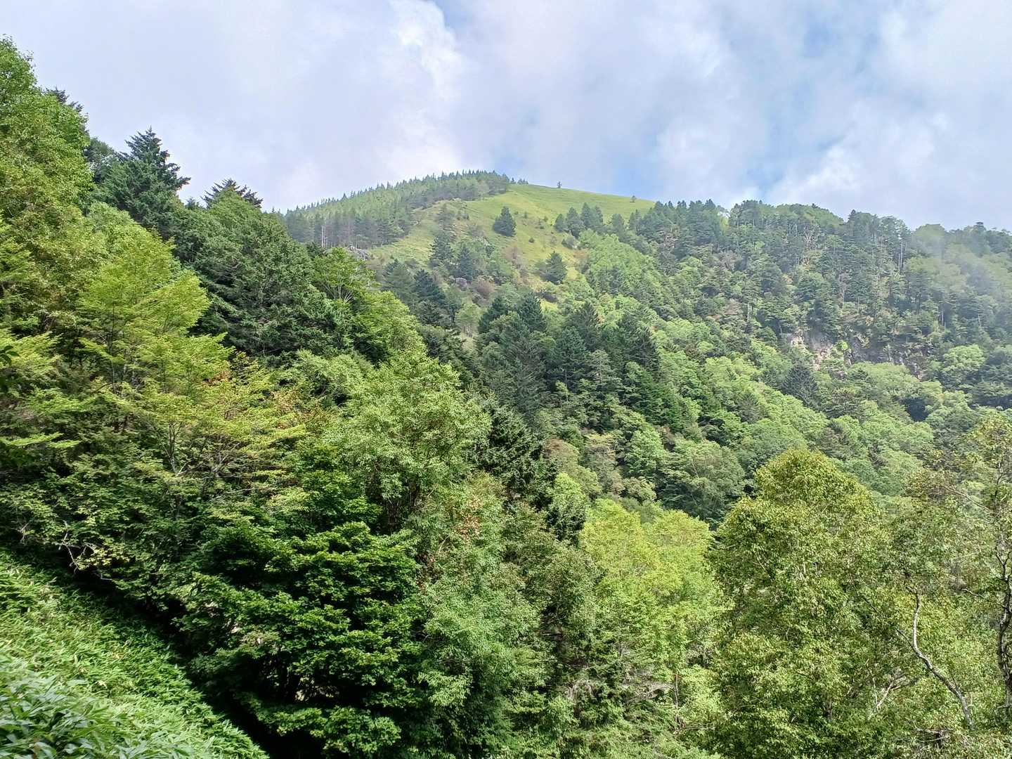 これが茶臼山