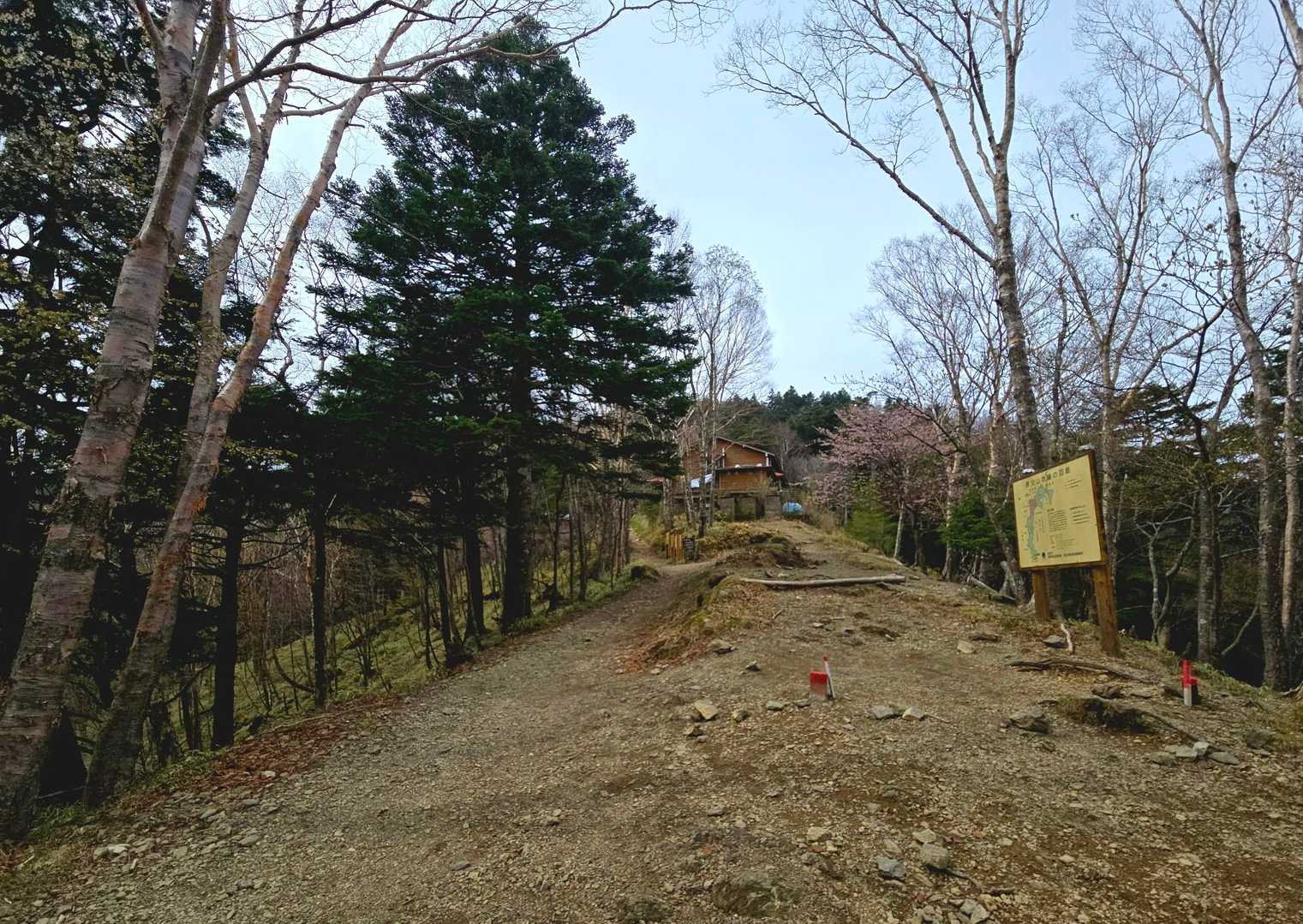 雲取山荘のテント場に到着👍️